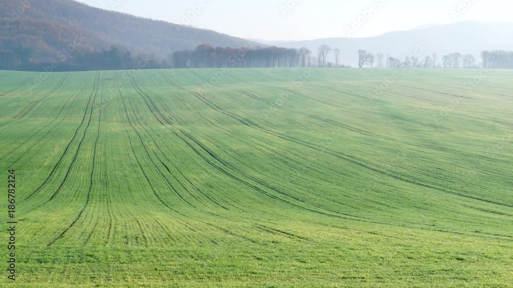Green field and mountains hills landscape