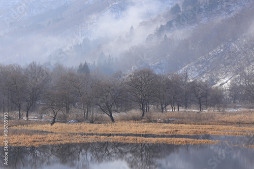 湿原の冬の朝 荒沢湖 山形県 Arasawa Lake / Yamagata, Japan 