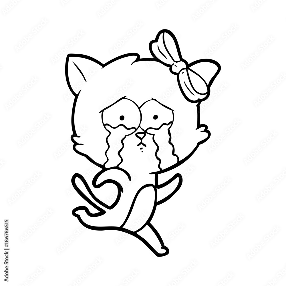 cartoon cat cartoon cat