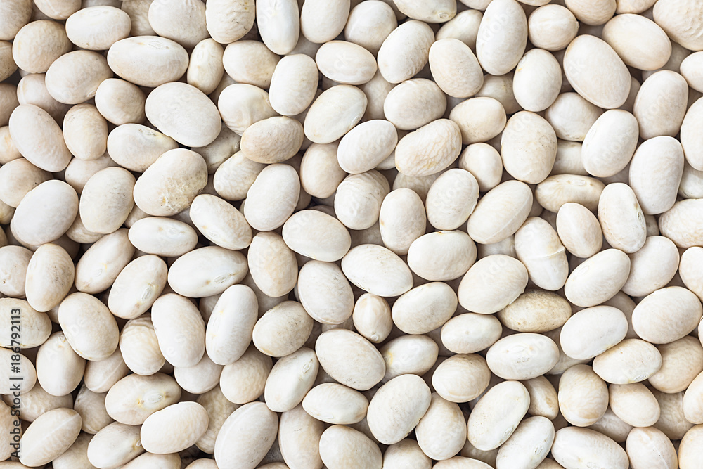 Small Navy, haricot, white pea, white kidney or Cannellini Purgatorio beans texture background or pattern. Raw food. Small Navy, haricot, white pea, white kidney or Cannellini Purgatorio beans texture background or pattern. Raw food.