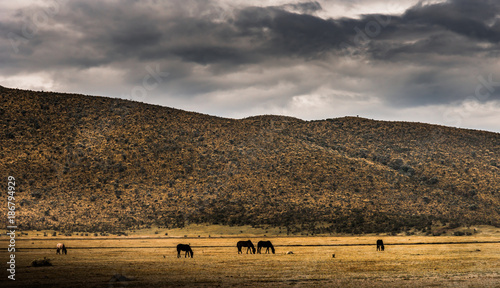Fotografie paesaggio dell'ecuador