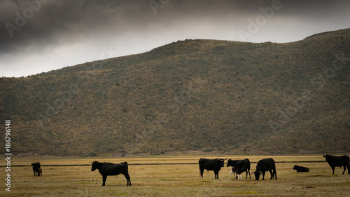Fotografie paesaggio dell'ecuador