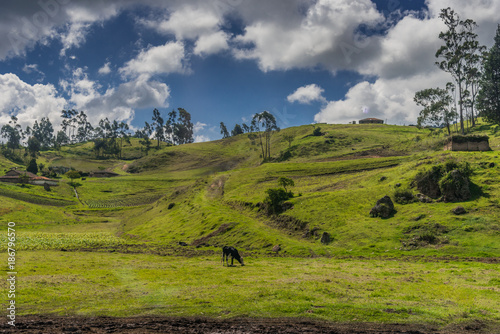 Obraz na plátně paesaggio dell'ecuador