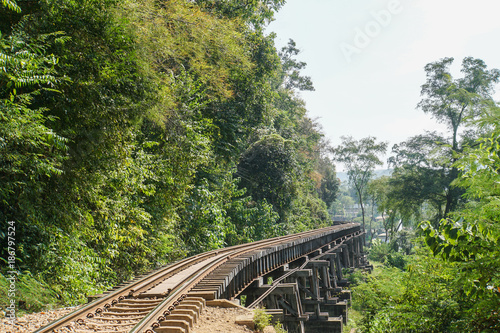 railway along the green forest