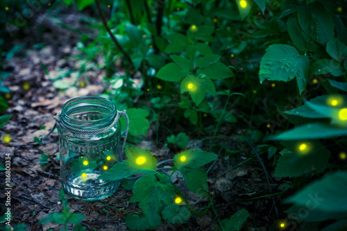Firefly in a jar. Selective focus.
