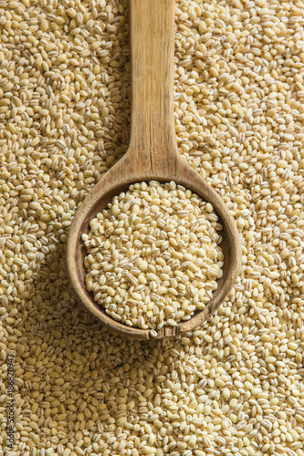 whole grain pearl barley on a wooden spoon