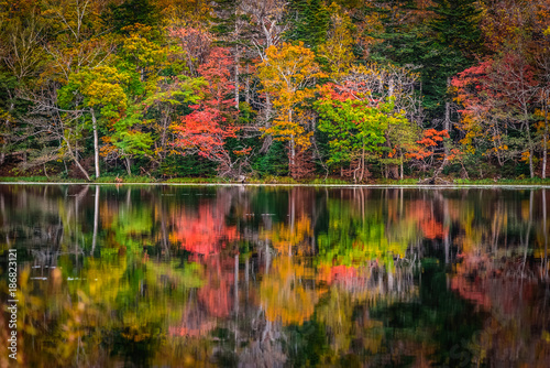 The autumn colors reflected in a lake at Shiretoko, Hokkaido, Japan