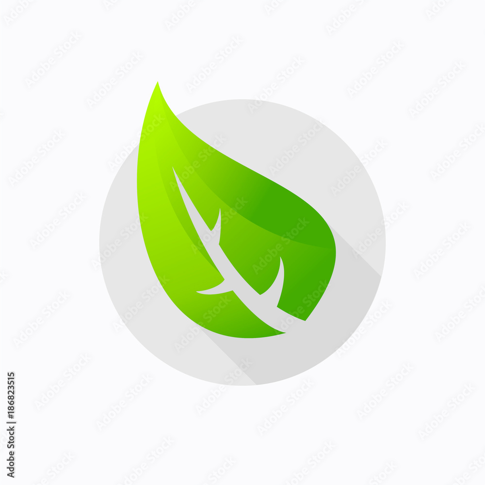 Obraz premium leaf green logo design
