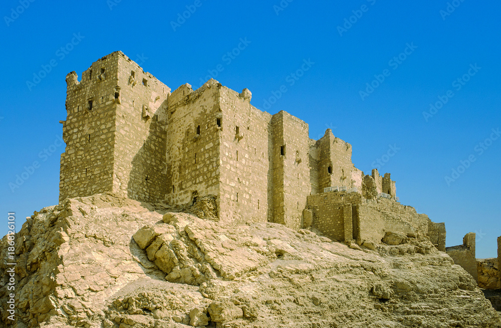 fortress in the ancient city of Palmyra