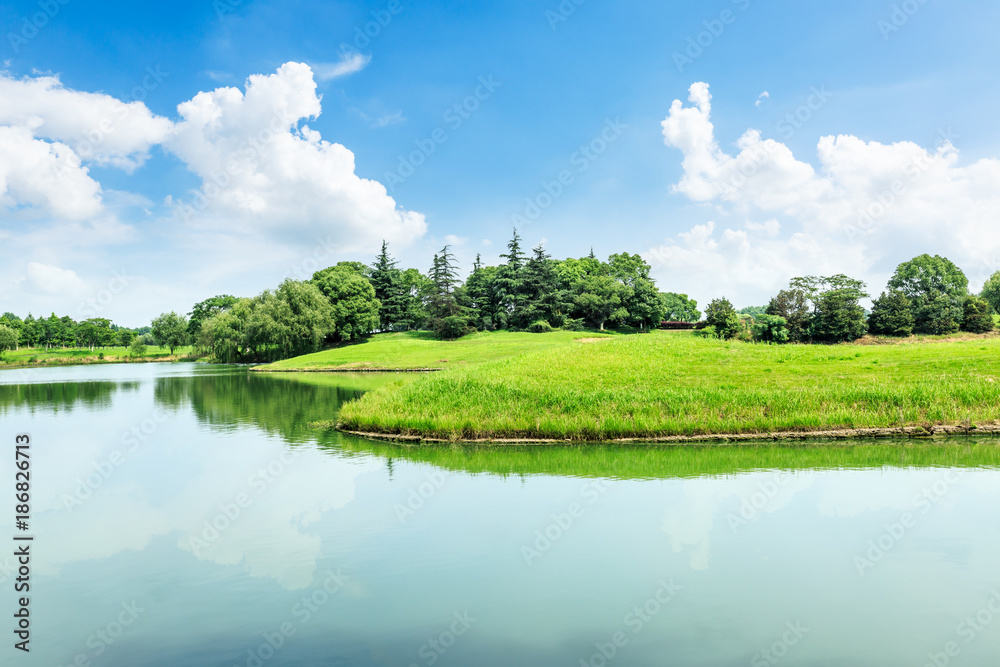 green meadow and trees with lake landscape in the nature park,beautiful summer season - obrazy, fototapety, plakaty 