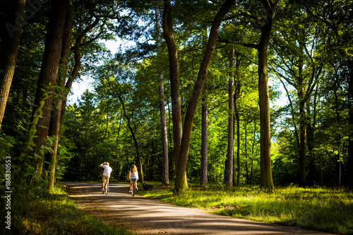 Man and woman cycling away from the camera through a leafy green forest along a dirt road in summer