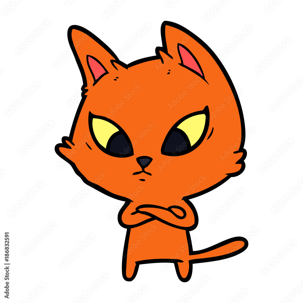 confused cartoon cat confused cartoon cat