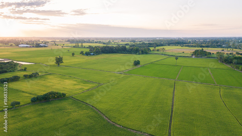 Εκτύπωση καμβά The field soil reclamation in preparation for seeding or planting