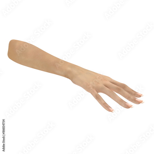 Female Hand on white. 3D illustration