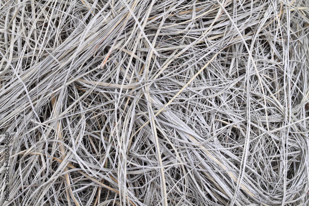 silver wires texture silver wires texture
