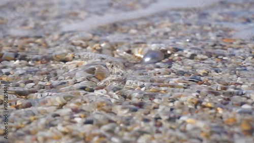 Tahitian gray pearl on the beach and pushed by a sea wave.