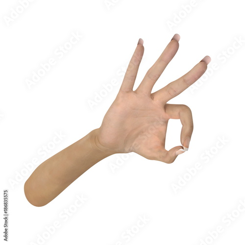 Female Hand Ok sign on white. 3D illustration
