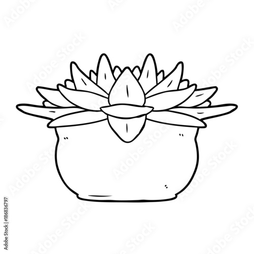 cartoon succulent plant