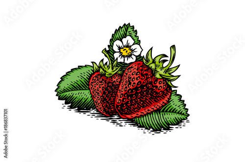 Two strawberries with leaves and flower