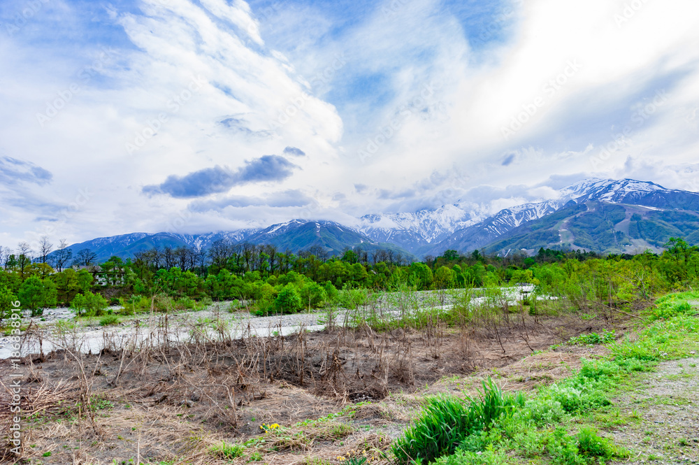 Fototapeta premium 山