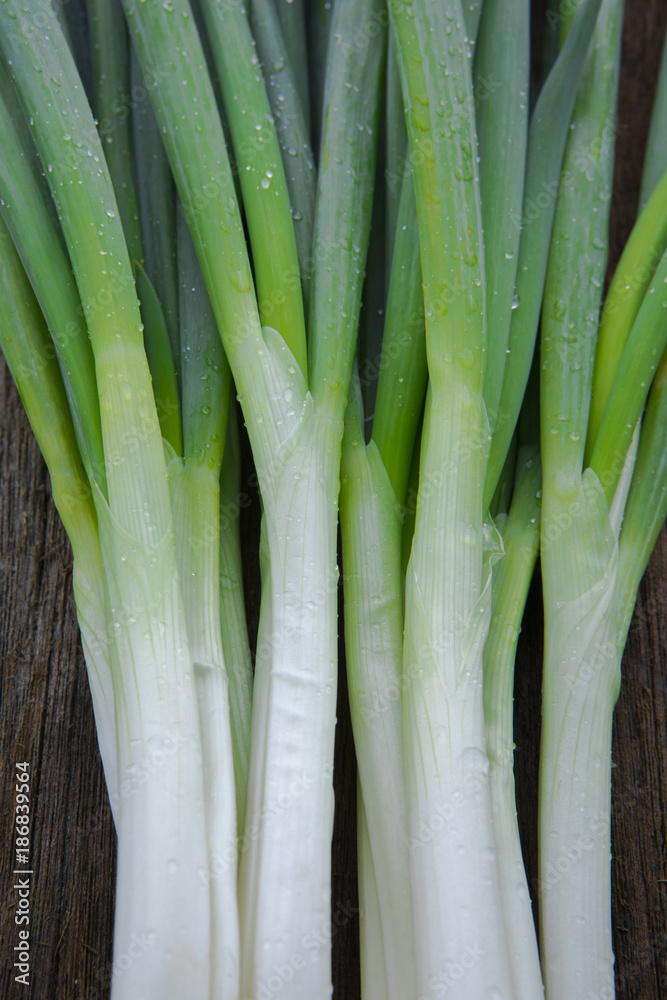 Onion is a very important seasoning for cooking spices, fresh long onions, on the table in the wood, Onion is a very important seasoning for cooking spices, fresh long onions, on the table in the wood,