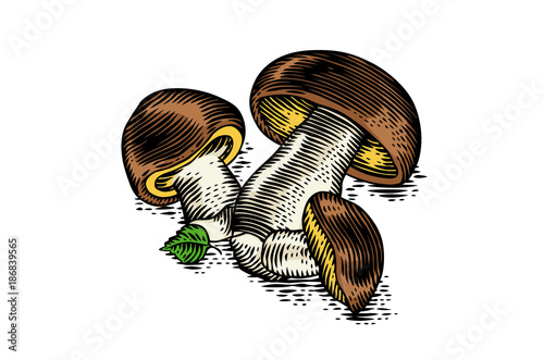 Heap of porcini