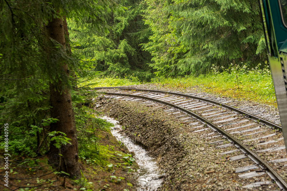 Obraz premium Railroad through forest