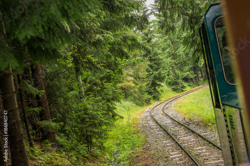 Railroad through forest photo