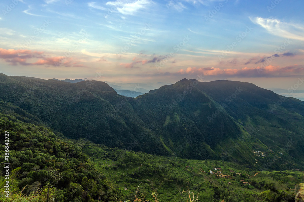 Fototapeta premium Sri Lanka - krajobrazowy las chmurowy Parku Narodowego Horton Plains, widok od krańca świata.