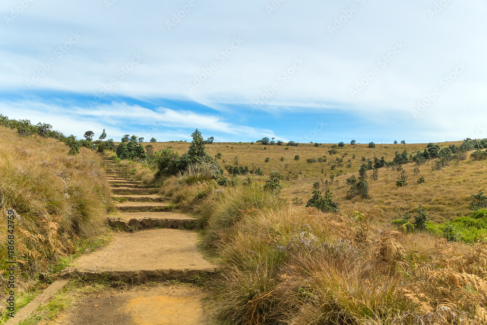 Stone Pathway in a Hills Horton Plains National Park, Central highlands, Sri Lanka