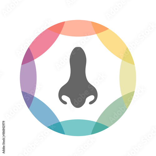 farbiges Icon - Nase