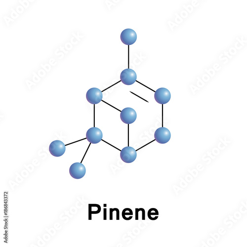 Pinene is a bicyclic monoterpene