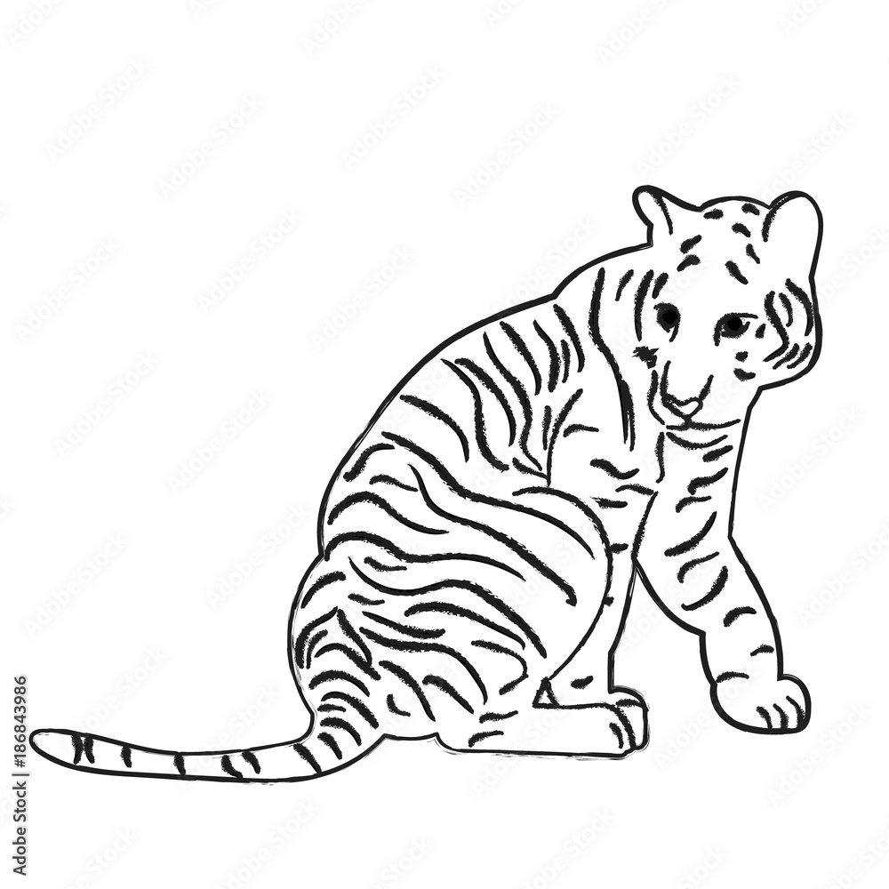 vector, isolated sketch of a tiger sitting