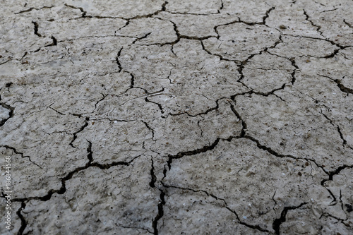 The soil is dry and cracked texture. Abstract background