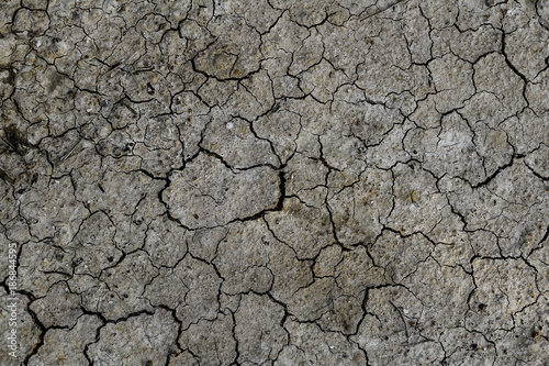 The soil is dry and cracked texture. Abstract background