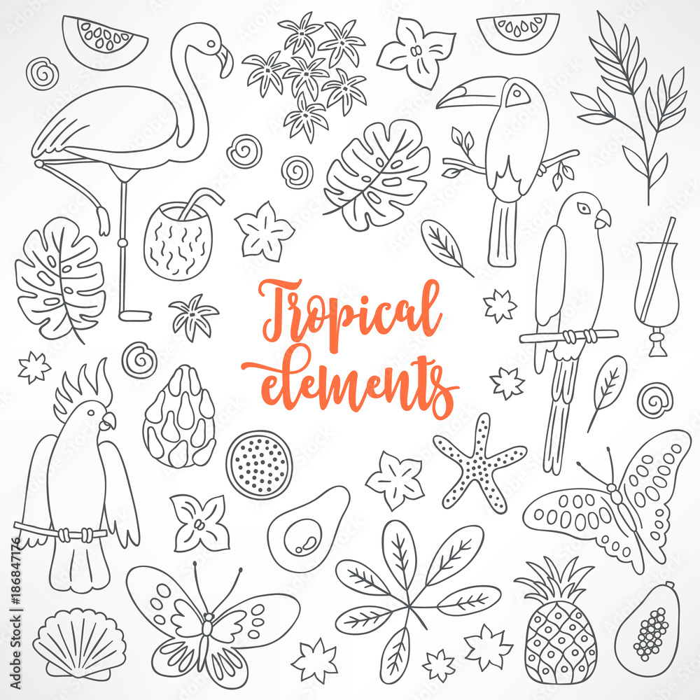 Fototapeta premium Set of hand drawn tropical elements