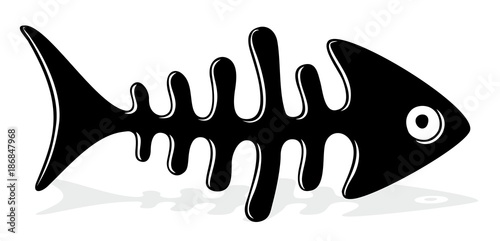 Skeleton of fish.