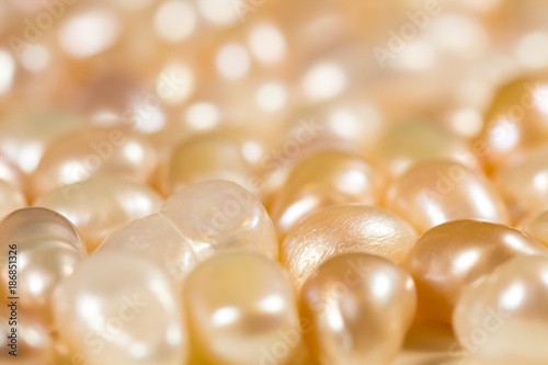 Real pearls white and gold color close up macro.
