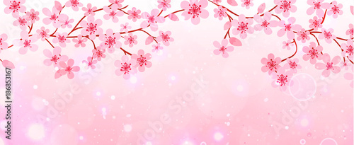 Banner of branches with cherry blossoms