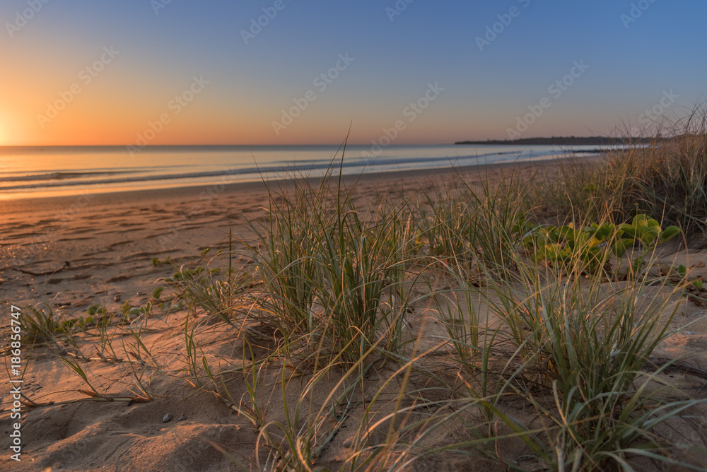 A serene sunrise with dune grass on a Bundaberg Beach