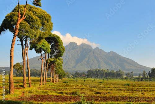 Pejzaż  Gór Virunga w Rwandzie photo