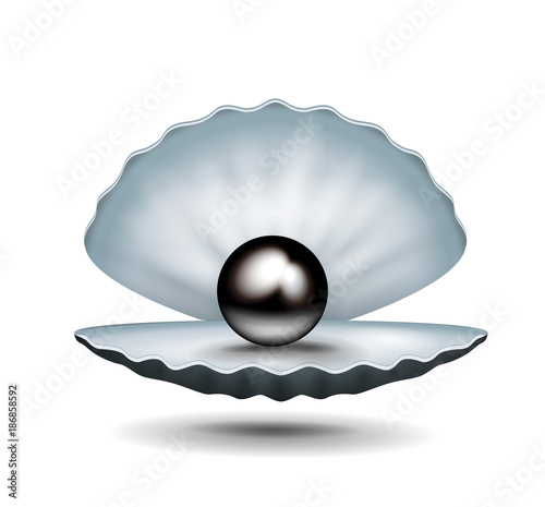 Pearl inside shell 