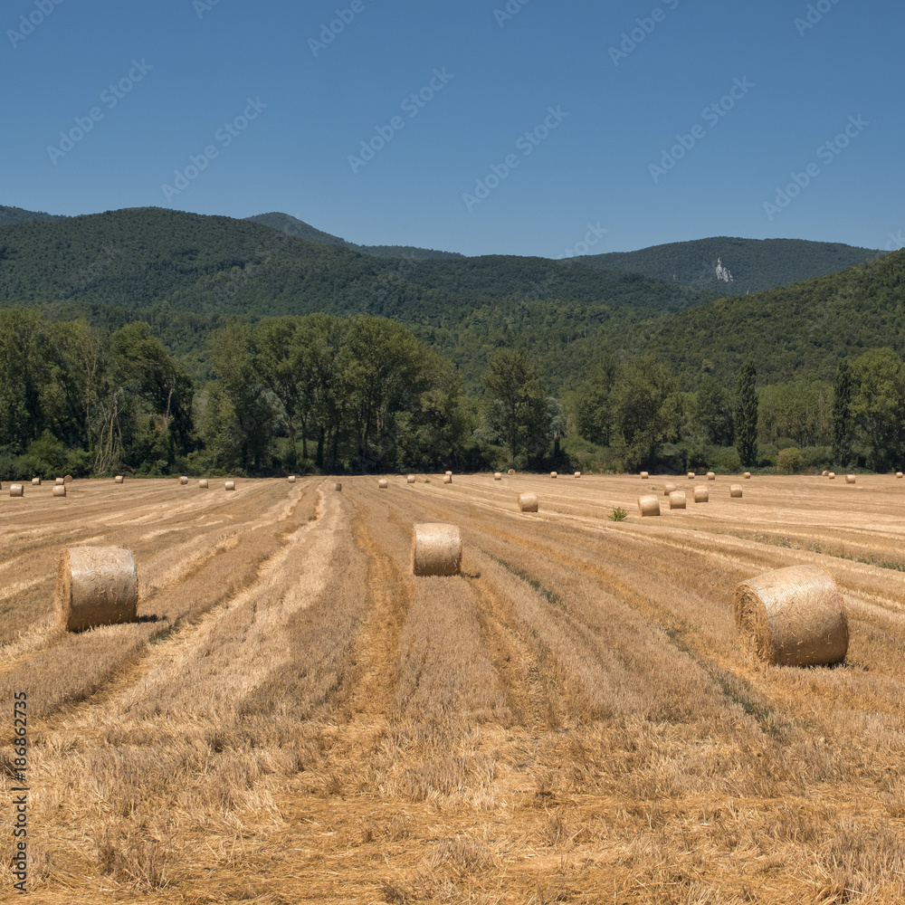Country landscape between Rieti (Lazio) and Terni (Umbria)