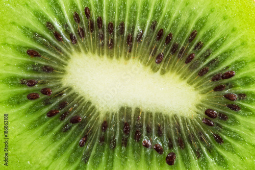 Slice of kiwi, macro photography