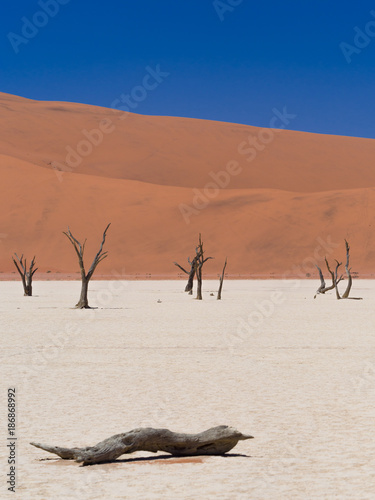 Deadvlei Namibia © Ueli