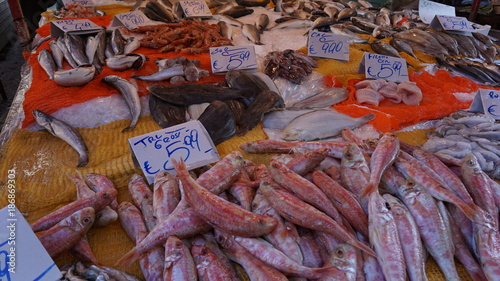 Palermo Sizilien Italien Markt Fischmarkt