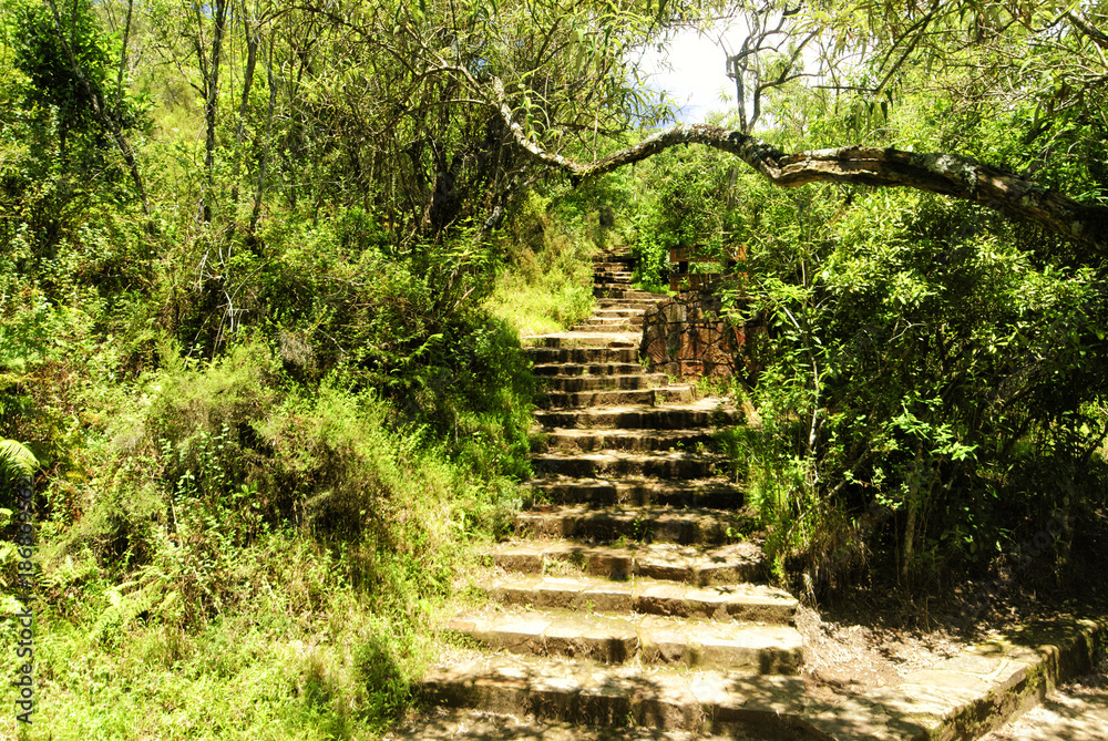 Treppe zum Aussichtspunkt gods window in Südafrika
