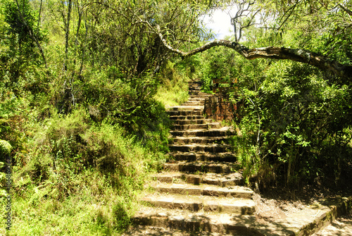 Treppe zum Aussichtspunkt gods window in S  dafrika