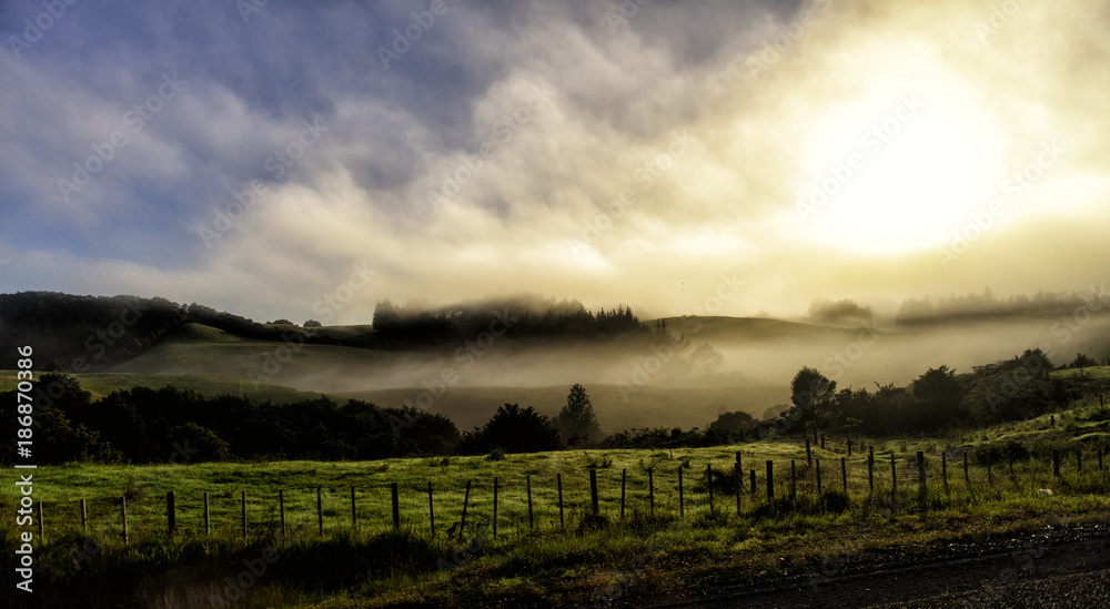 Sonnenlicht bricht durch den Morgennebel, Neuseeland