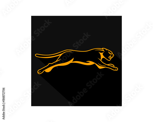rectangle black leopard cheetah tiger jaguar beast animal image vector